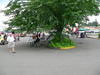 Copy of P1020790.JPG